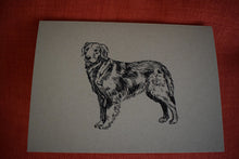 Ole Pup Stationery