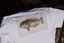 "Rainbowfish" Classic Pocket Shirt